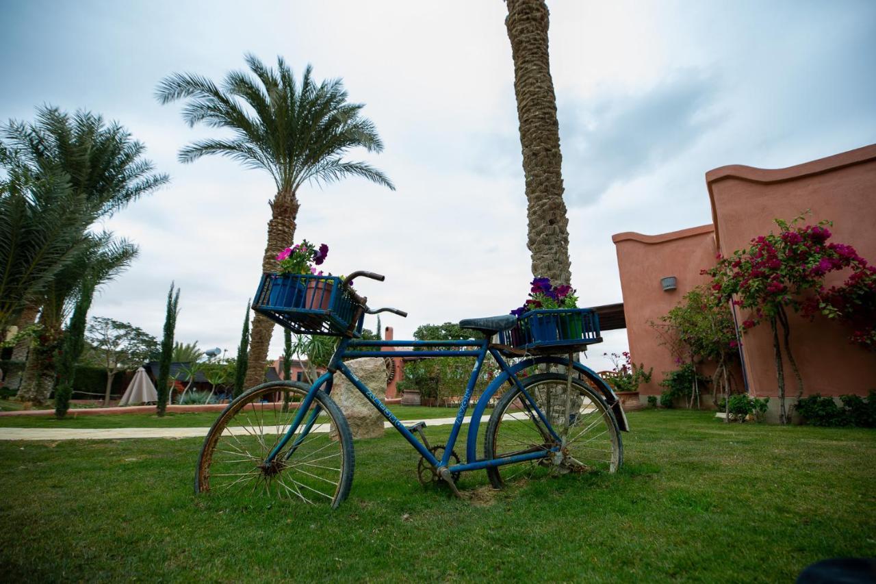 Tunis Lazib Inn Resort & Spa מראה חיצוני תמונה